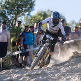 Whip 35 Carbon